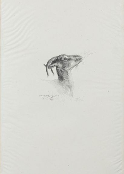 BONHEUR Rosa (1822-1899) peintre animalier. Meeting of autograph letters signed,...