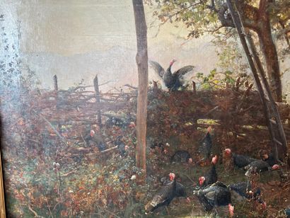 Paul Louis Martin des AMOIGNES (1850 - 1925) The guardian of the turkeys
Oil on canvas
Signed...