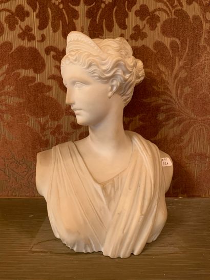D'après l'Antique Buste en marbre statuaire.
« Portrait de la déesse Artémis ».
H...