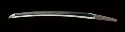 null Shinto wakizashi - Epoque EDO (1603-1868)

Signé (mei) : Tamba no kami Yoshimichi
Lame...