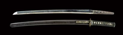 null Shinto wakizashi - Milieu Epoque EDO (1603-1868)

Signé (mei) : Yamato no kami...