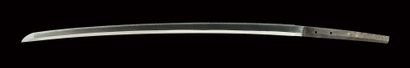 null Shinto Katana - EDO period (1603 - 1868)

Unsigned (mumei)
Blade (sugata) :...