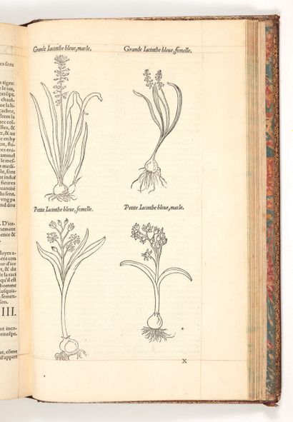 FUCHS, Leonhard Commentaires très excellens de l'hystoire des plantes. Compose premièrement...