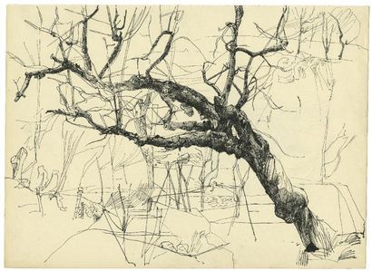 ALEXANDRE TRAUNER (1906-1993) Arbre - Fillette Deux dessins originaux à l'encre....