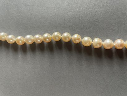 null Long necklace of baroque cultured pearls
The clasp in gold niello enhanced with...