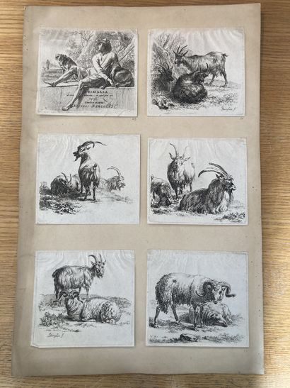 Jean-Baptiste HUET (1745-1811) Chèvres
Gravure au burin, signée et datée dans la...
