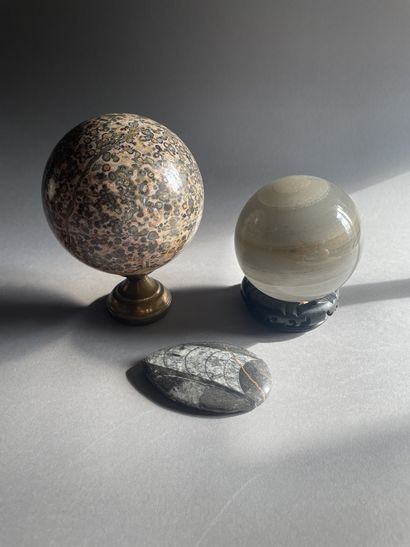 null Lot composé de deux pierres dures rondes du Brésil et d'un fossile