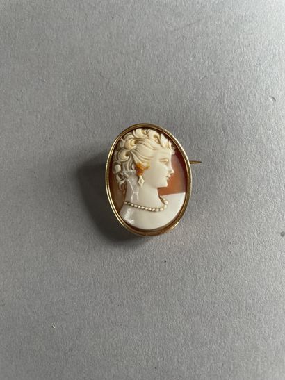 null Broche
En or 750°/°°
Ornée d'un camée coquillage
Profil de femme au collier...