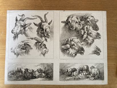 Jean-Baptiste HUET (1745-1811) Chèvres
Gravure au burin, signée et datée dans la...