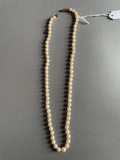 null Collier de perles de culture en chute de 5,5 à 8,5 de diam. env.
Fermoir godrons...