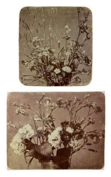Adolphe Braun Deux bouquets Dornach, c. 1855 Albumines (2), 340x312 et 352x315 mm,...