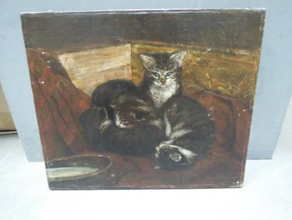 Charles DESAVARY (1837 - 1885) Les chats, Huile sur toile signée en bas à droite