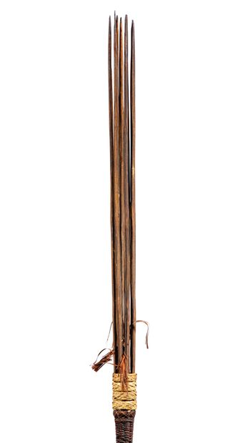 null Harpoon
Melanesia 
Engraved bamboo, wood and weave
H. 183 cm

The upper part...