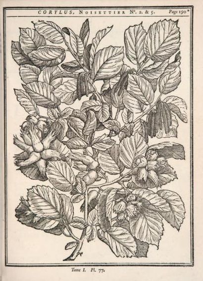 DUHAMEL DU MONCEAU (HENRI LOUIS) Traité des arbres fruitiers; contenant leur figure,...