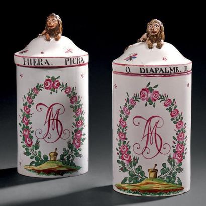 LUNEVILLE PAIRE DE POTS DE PHARMACIE CYLINDRIQUES COUVERTS à décor polychrome du...