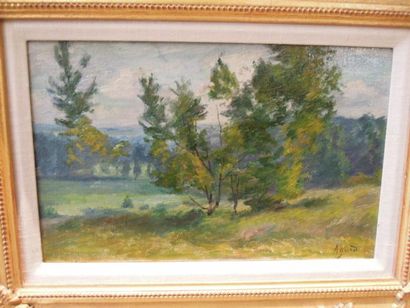 CHARLES AGARD (1866 - 1950) Arbres dans la prairie Huile sur toile Signée en bas...