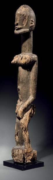 null Statue d'ancêtre Peuple Dogon Mali, XIXe siècle Bois dur, patine ancienne Accidents...