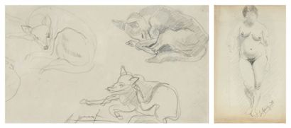 null DEUX DESSINS: - ALFRED-AUGUSTE JANNIOT (1889-1969) Etude de chiens Mine de plomb...