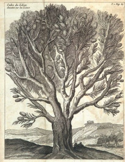 LA ROQUE (Jean de) Voyage de Syrie et du Mont-Liban. Amsterdam, Herman Uytwerf, 1723....