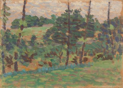 * Louis Hayet (1864-1940) Paysage aux arbres
Huile sur papier
15,8 x 22 cm

Provenance
-...
