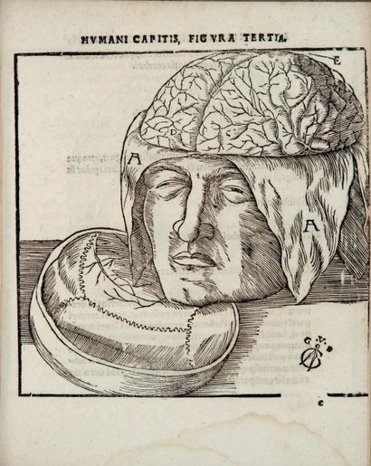 DRYANDER (Johannes) Anatomiae, hoc est, corporis humani dissectionis pars prior....