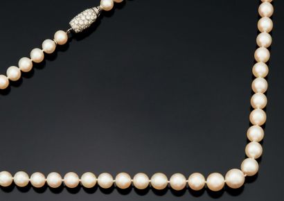 BOUCHERON, Paris 
Collier de soixante-trois perles de culture en chute, le fermoir...
