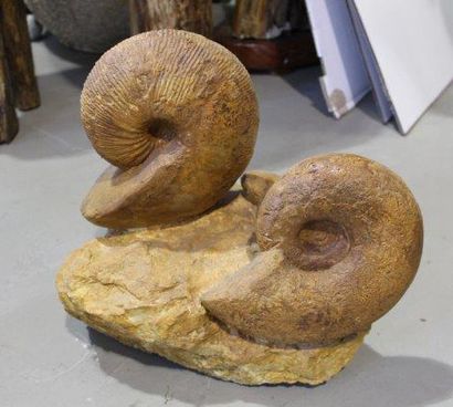 null Bloc de 3 Ammonites malgaches.
(38x35 cm.)