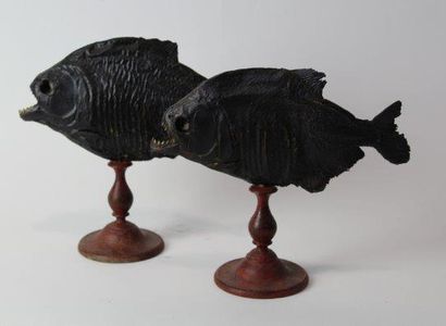 null Reproduction de deux piranhas noirs
Montés sur un piétement balustre en bois
23x22x10...
