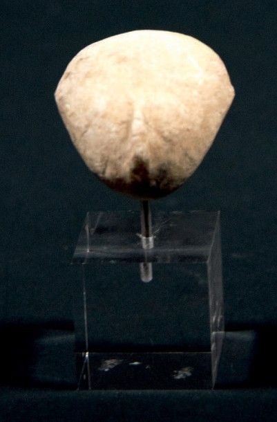 null Tête de statuette Kilia
Marbre
Anatolie, ca. 2800-2200 avant J.-C.
H. 3 cm