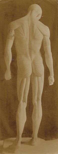 BRANCUSI Constantin ECORCHÉ. PHOTOGRAPHIE ORIGINALE. [1902] ; 17 x 6,6 cm, sous passe-partout....