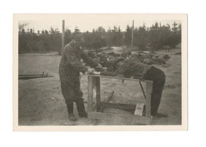 Officier américain de la 4e db (05-7) Deux prisonniers expliquent les punitions Camp...