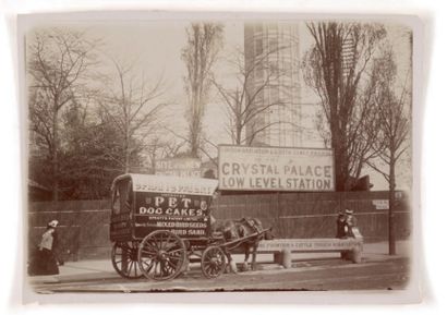 Emile zola (1840-1902) Crystal Palace Low Level Station, Pet Dog Care
W.C.Blundell,...