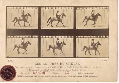EADWEARD MUYBRIDGE (1830-1904) Les allures du Cheval Mahomet, (appartenand à Leland...
