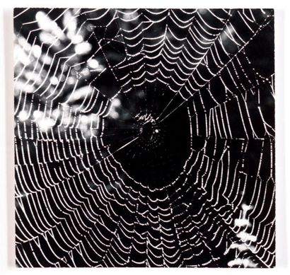 Werner Bishof (1916-1954) [Roméo Martinez (1911-1990)] Éléments de maquette: Spider...