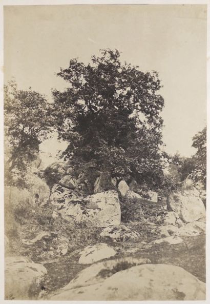 Gustave Le Gray (1820-1884) Deux études d'arbres et de rochers de la forêt
Fontainebleau,...