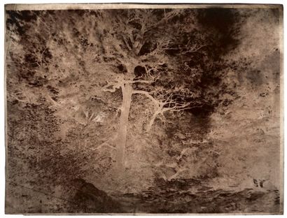 John Beasley Greene (1832-1856) [Gustave Le Gray (1820-1884)] Exercice de photographie:...