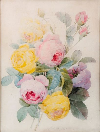 Ecole de Pierre-Joseph REDOUTE (1759 - 1840) 
Jeté de fleurs
Aquarelle sur vélin...
