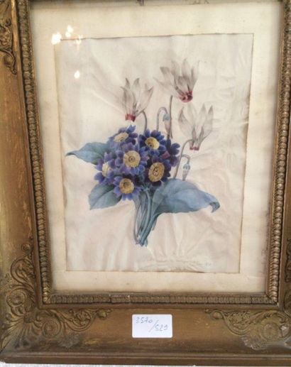 Charlotte du MINGUY (active au XIXème siècle) 
Jeté de fleurs
Aquarelle sur vélin
21...