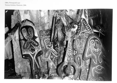 null Planche votive gope akea'koivi, Golfe de Papouasie, Papouasie Nouvelle-Guinée
Bois,...