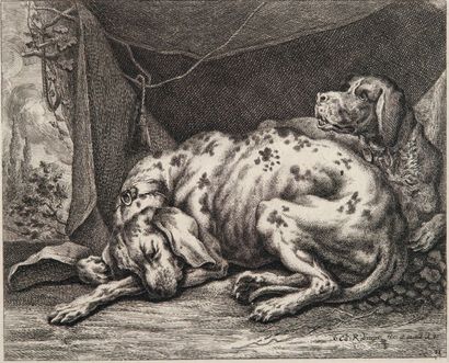 RIDINGER (Johann Elias) Neües Thier Reis-Büchl Erster theil, allerley Art Hunde vorstellend....