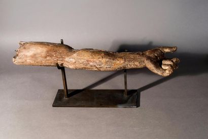 null LOT DE 3 BRAS DE CHRIST en bois sculpté
XVIe siècle
L. 64,3 cm, 46 cm, 46,5...