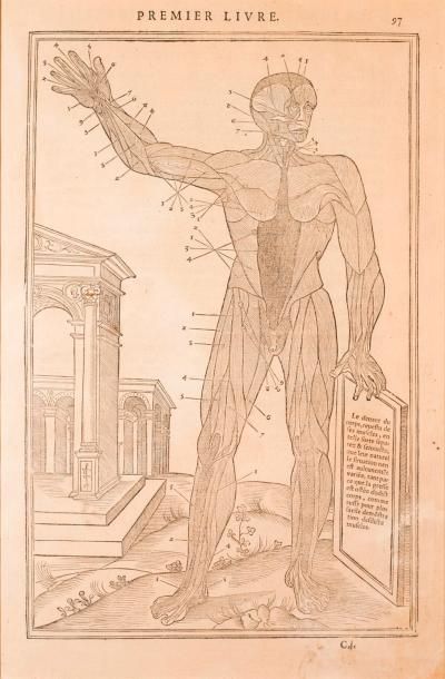 CHARLES ESTIENNE (1504-1564) Dissectione partium corporis humanae 4 planches issues...