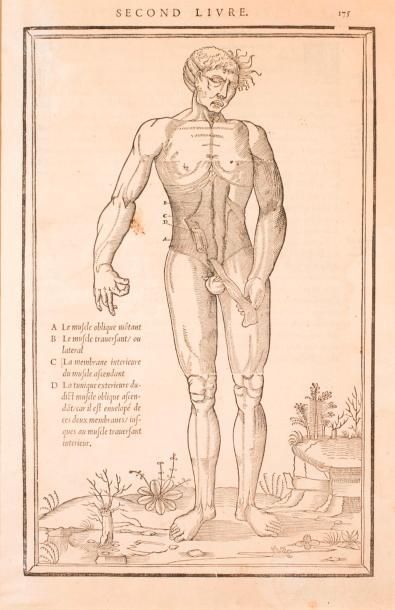 CHARLES ESTIENNE (1504-1564) Dissectione partium corporis humanae 4 planches issues...