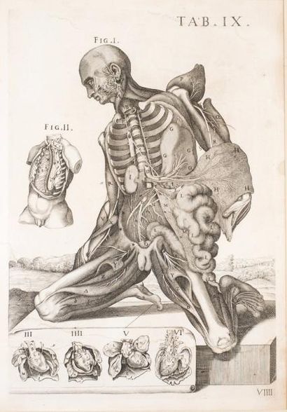 PIETRO BERRETINI (1596-1669) Tabulae anatomicae: Anatomie masculine
Quatre planches:...
