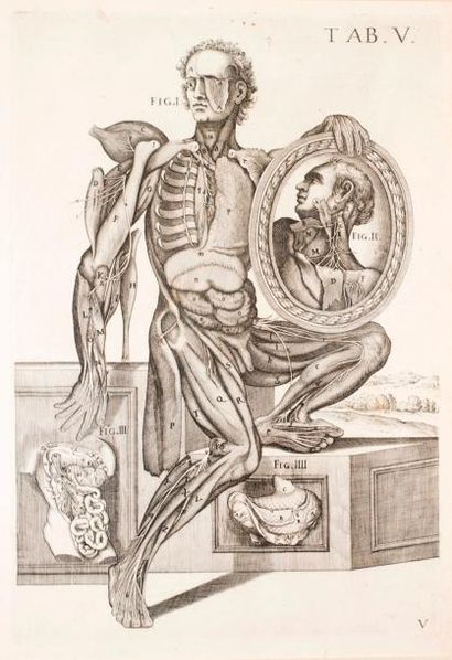 PIETRO BERRETINI (1596-1669) Tabulae anatomicae: Anatomie masculine
Quatre planches:...