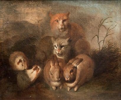 Giovanni Benedetto CASTIGLIONE (Gênes 1609 - Mantoue 1664) 
Chats, lapins et cochons...