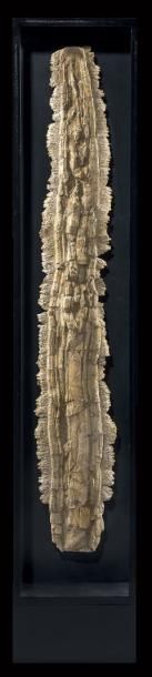 null Rostre fossile de Poisson-scie
Schizorhiza stromeri
Maastrichtien, Crétacé
Oued...