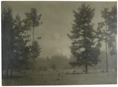 NIKOLAI PLATONOVITCH ANDREIEV (1882-1947) Lesnoié paysage (Night landscape) ca. 1930...