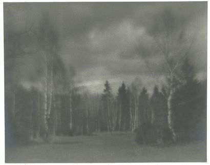 NIKOLAI PLATONOVITCH ANDREIEV (1882-1947) Russian landscape ca. 1930 Vintage gelatin...