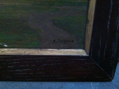 A SEGUIN Paysage
Huile sur toile
Signée en bas à droite
25 x 32,5 cm
